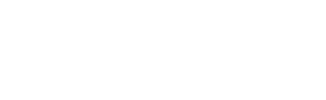 V02MAX logo